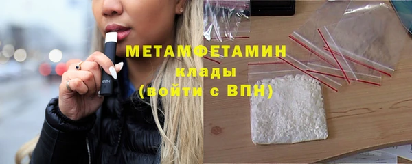 индика Ладушкин
