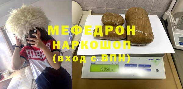 индика Ладушкин