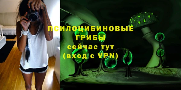 стафф Липки