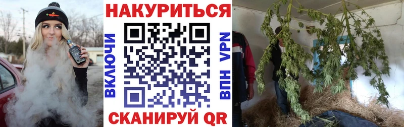 Бошки марихуана планчик  Чухлома 