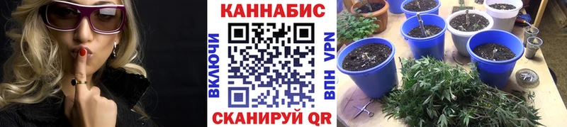 Конопля OG Kush Чухлома